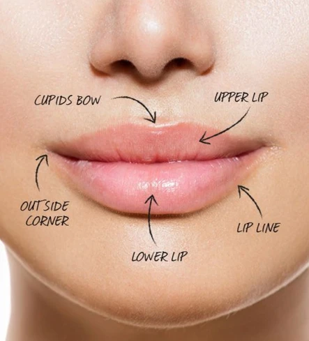 5 Tips to Perfect Lips