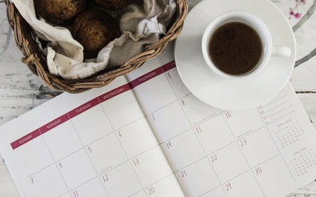 Your Guide to Downtime and Treatments Around the Holidays