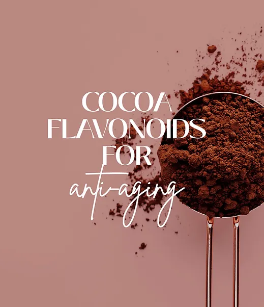 COCOA FLAVONOIDS FOR ANTI-AGING