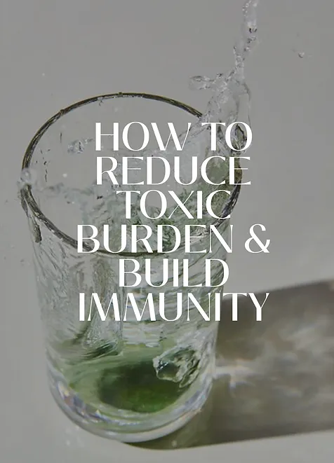 How to Reduce Toxic Burden and Build Immunity