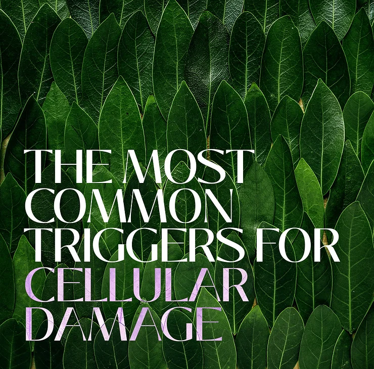 THE MOST COMMON TRIGGERS FOR CELLULAR DAMAGE
